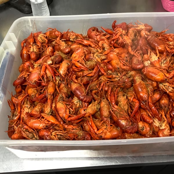 A large container filled with freshly boiled, bright red Cajun crawfish, ready to be served.