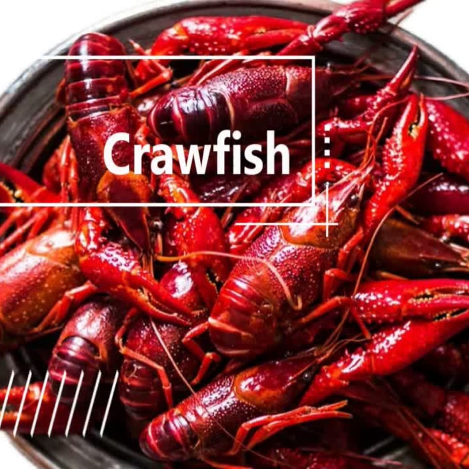 A close-up of bright red, cooked crawfish piled in a dark bowl, ready to be served.